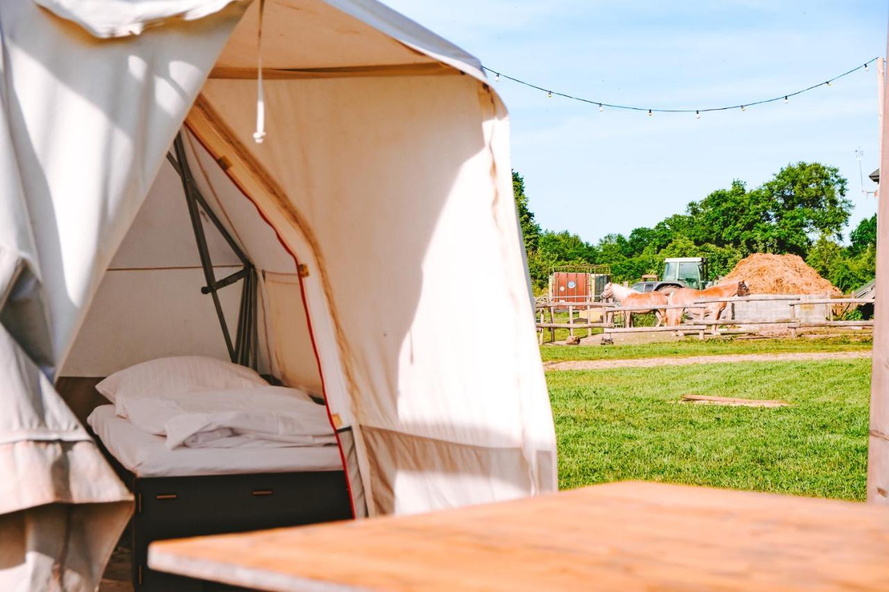 Rendswuhren Domo Camp - Nature Glamping Hof Viehbrook酒店 外观 照片