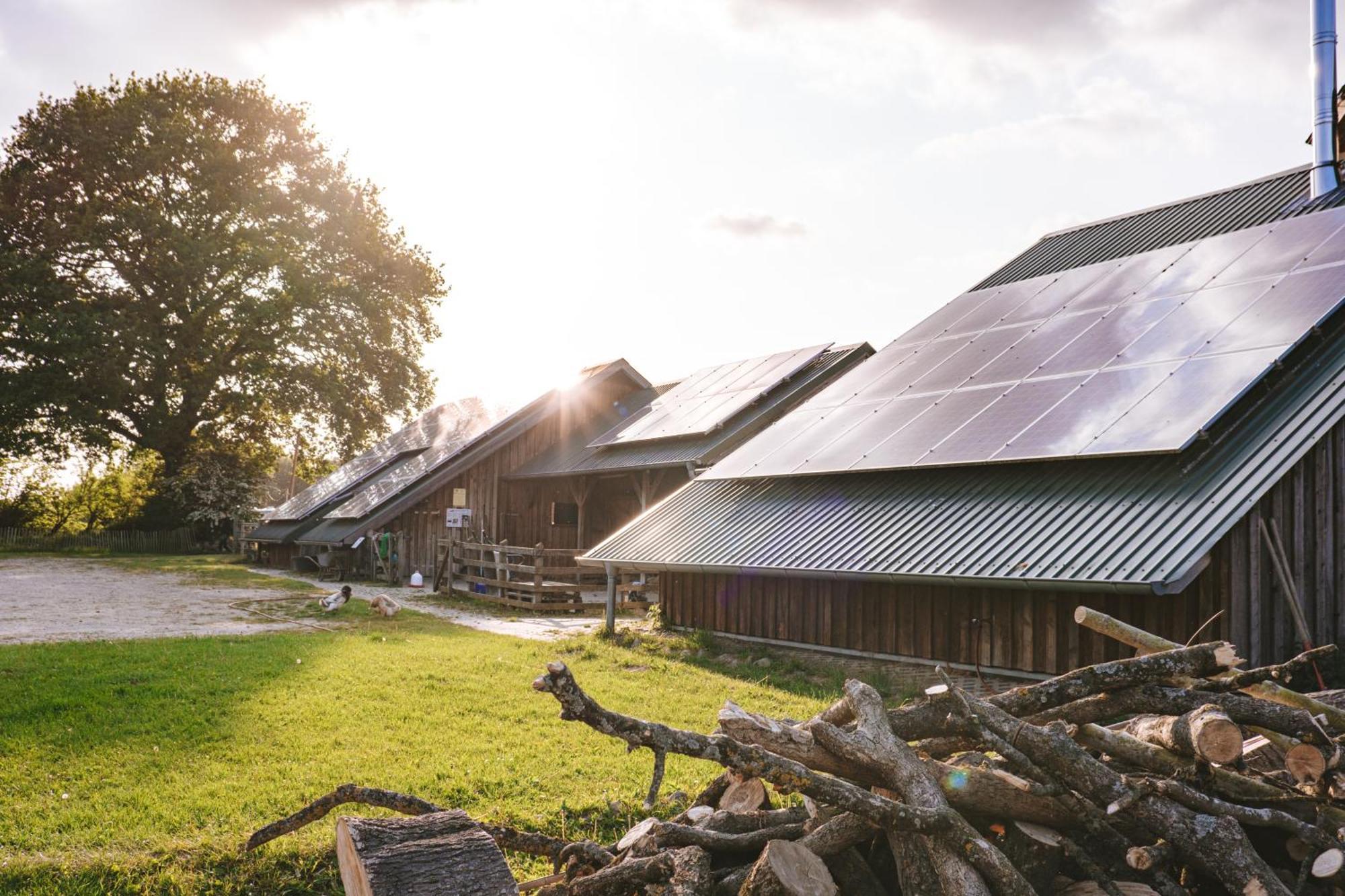 Rendswuhren Domo Camp - Nature Glamping Hof Viehbrook酒店 外观 照片